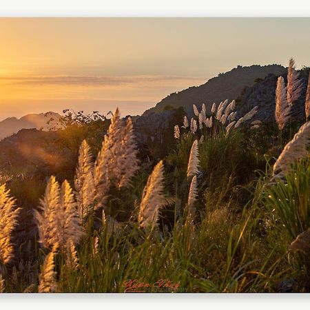Cat Ba Island Garden Homestay - Papillon Kültér fotó