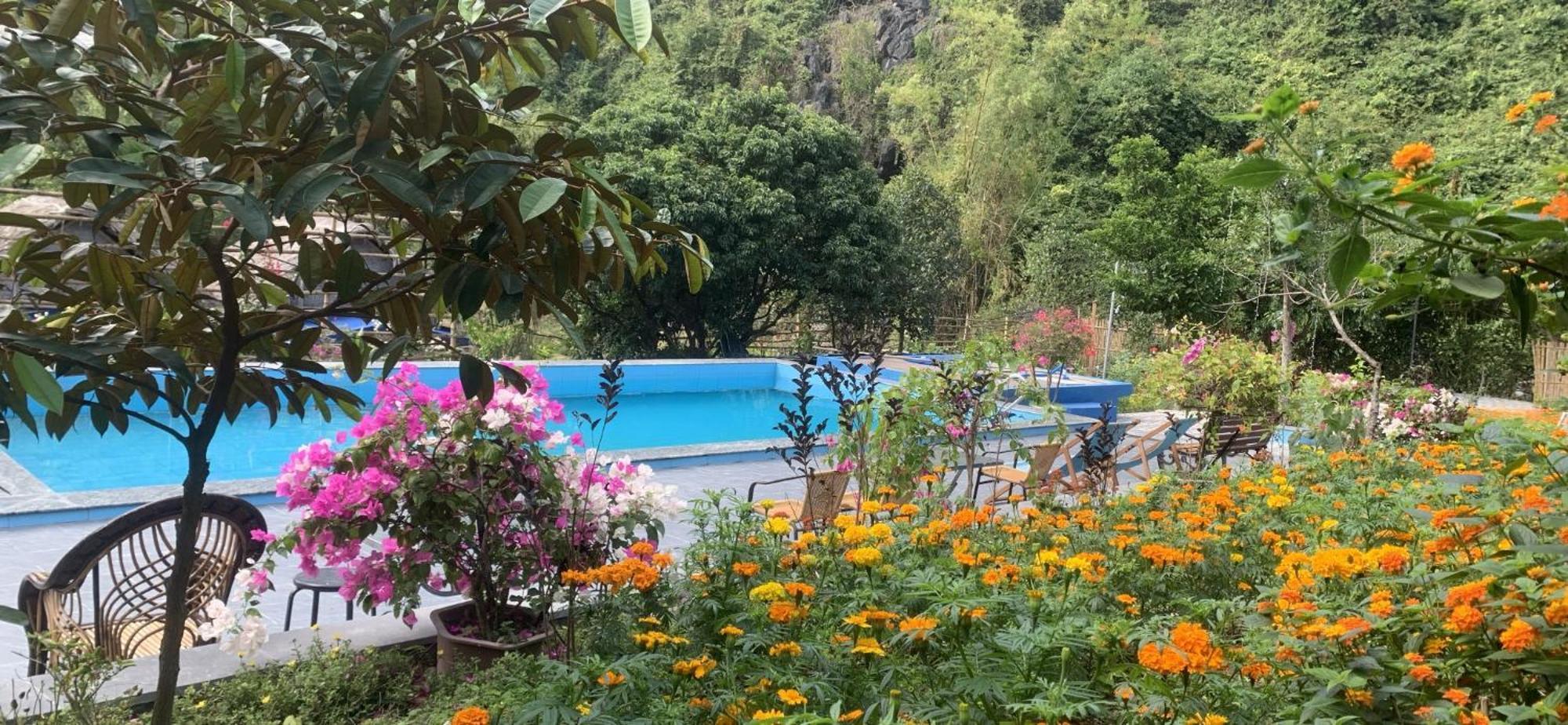 Cat Ba Island Garden Homestay - Papillon Kültér fotó
