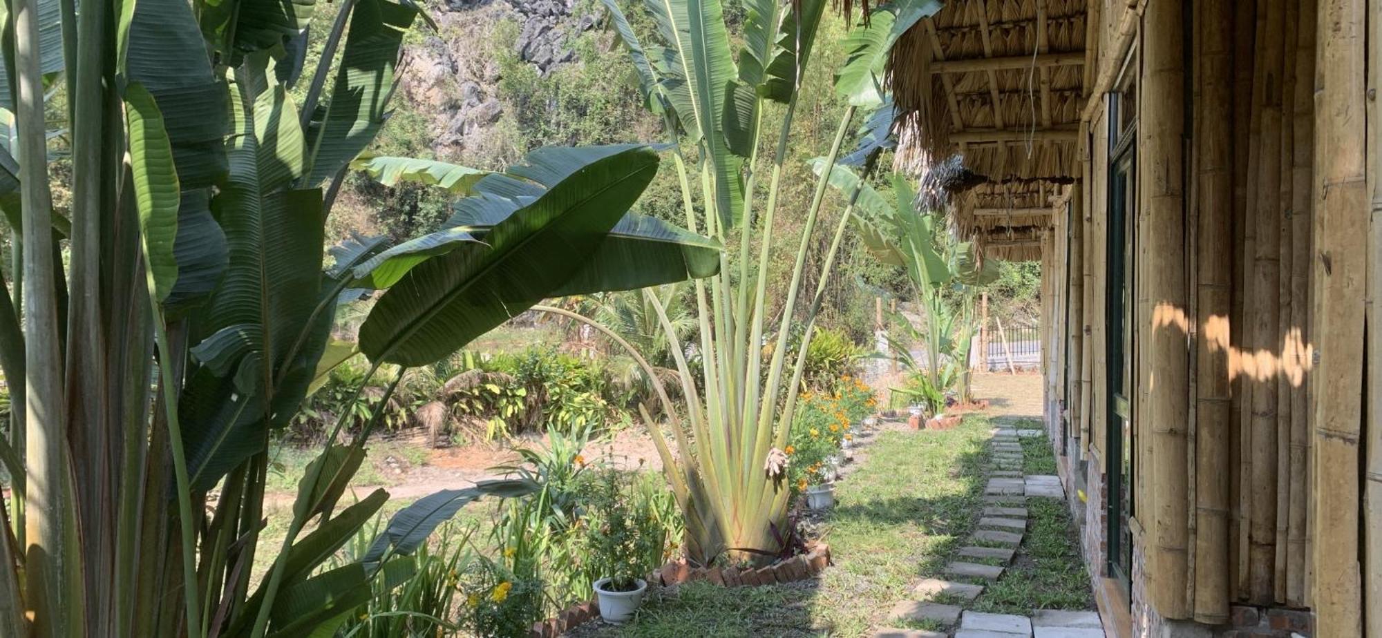 Cat Ba Island Garden Homestay - Papillon Kültér fotó