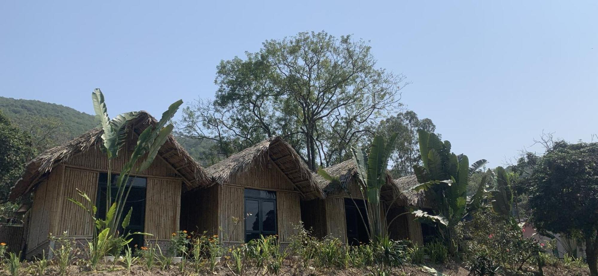 Cat Ba Island Garden Homestay - Papillon Kültér fotó